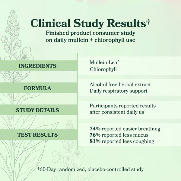 BetterLungs® Mullein + Chlorophyll
